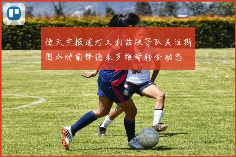 德天空报道尤文利兹联等队关注斯图加特前锋德米罗维奇转会动态